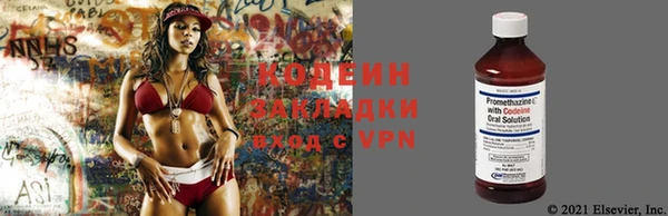 стафф Каменка