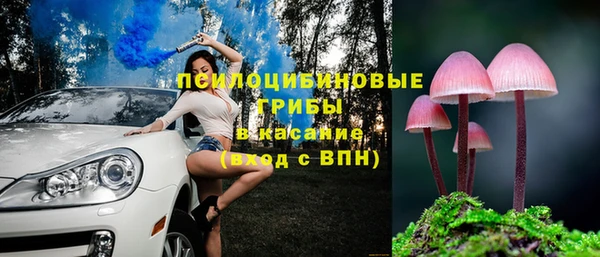 стафф Каменка