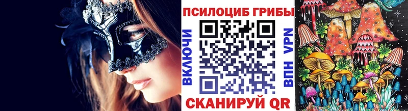 даркнет какой сайт  кракен рабочий сайт  Котельнич  Псилоцибиновые грибы мухоморы 